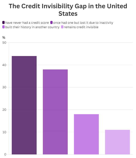 a visual showing credit score invisibility in the US