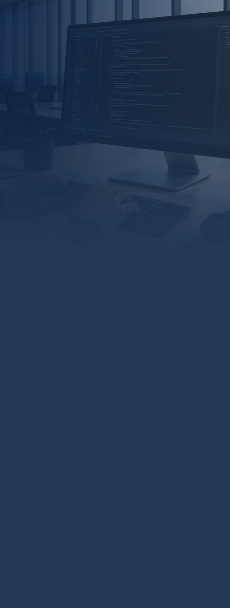 Person writing IT code