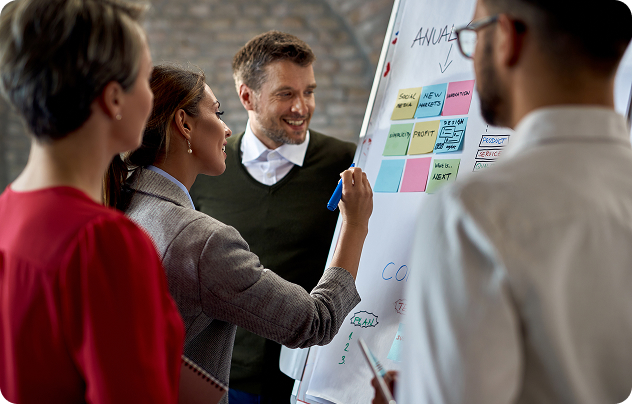 A mixed team of professionals planning for an insurance software project